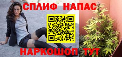 дмт Камышлов